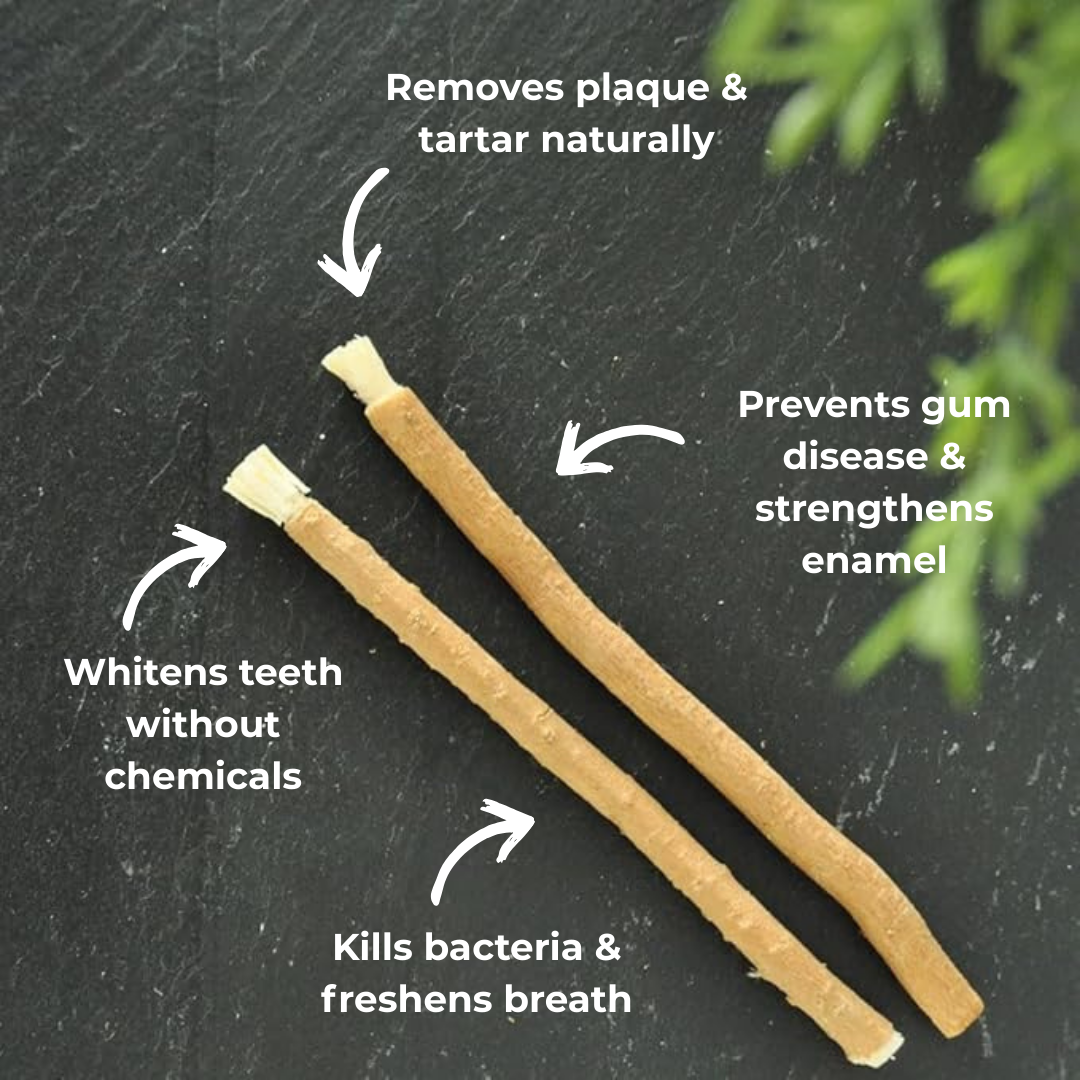 Swake: Ancient Whitening Brush!