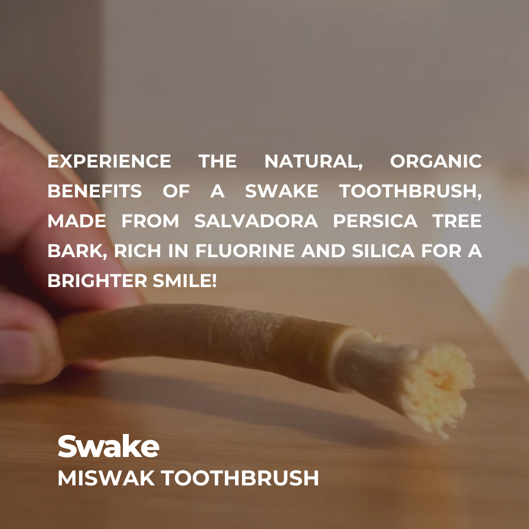 Swake: Ancient Whitening Brush!